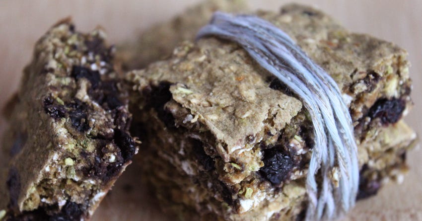 Blueberry & Fish Power Bars for Dogs